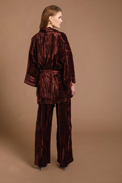 Ava Velvet Jacket