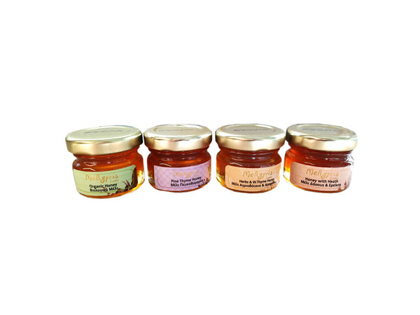 Meligyris | 4 Seasons Cretan Honey