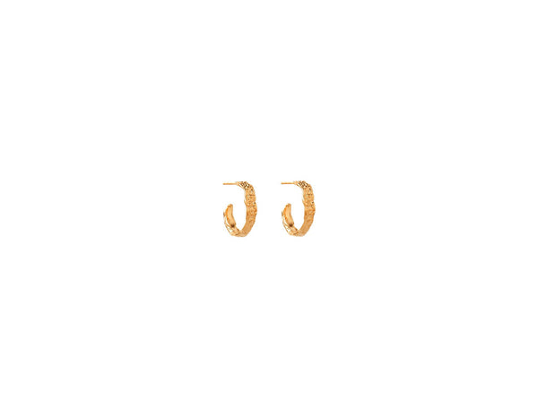 The ‘Hoop Divine Hug Earrings’