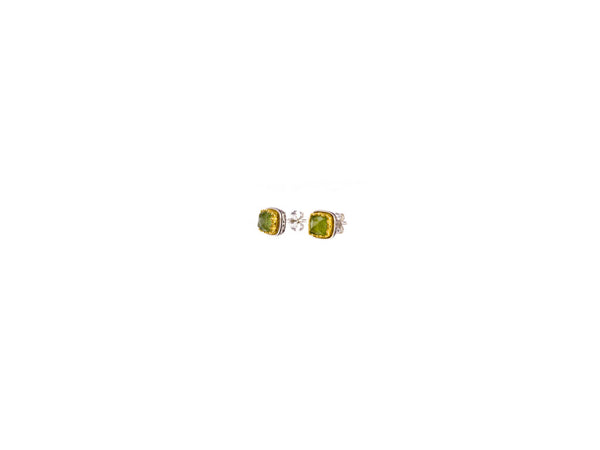 Iris Stud Square earrings