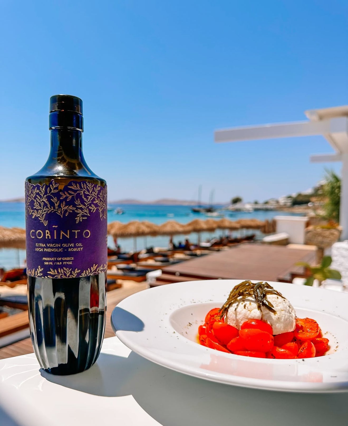 Corinto | High Phenolic Extra Virgin Olive Oil