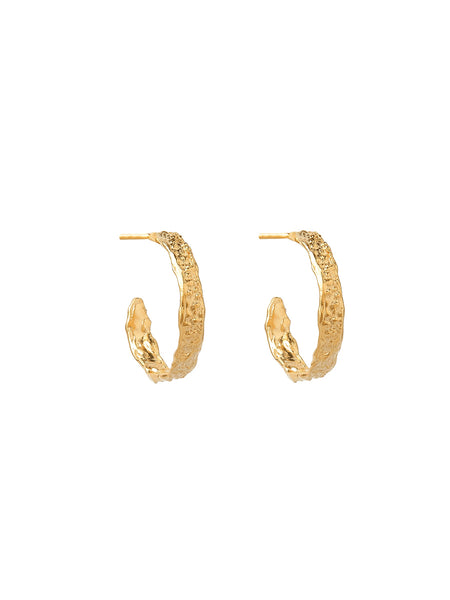The ‘Hoop Divine Hug Earrings’