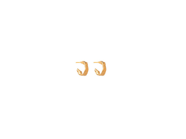 The ‘Hoop Divine Hug Earrings’