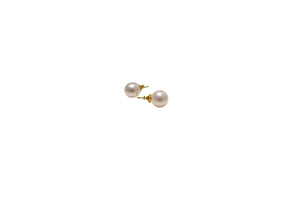 Solid Gold Sea Pearl earrings